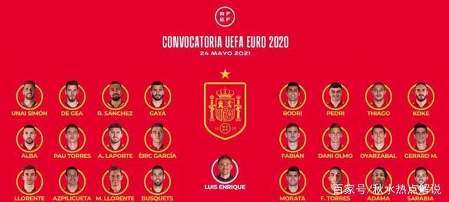 西班牙欧洲杯大名（西班牙欧洲杯大名单号码）