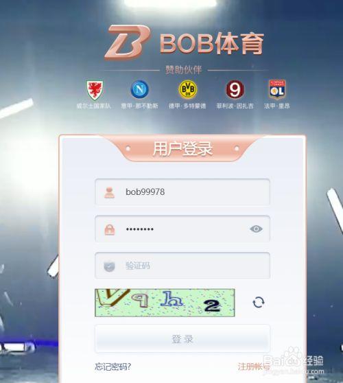 申博sunbet体育app下载的简单介绍