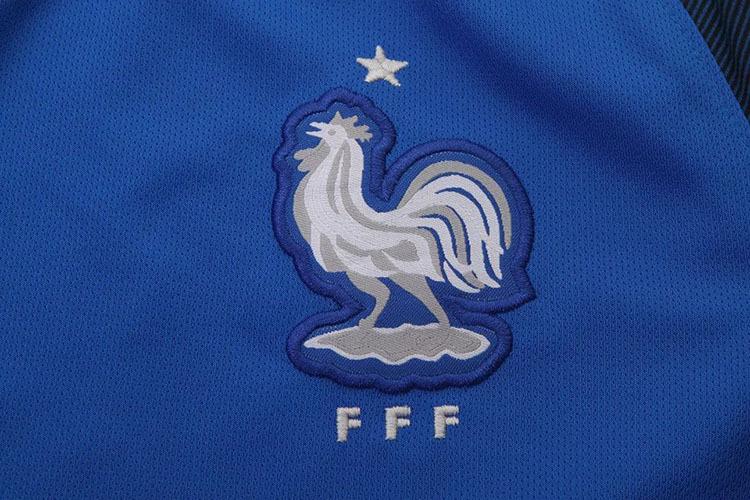 法国欧洲杯贴纸（法国欧洲杯球衣）